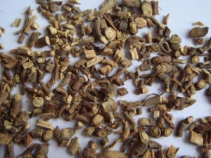 ��������� �������Ч �������������