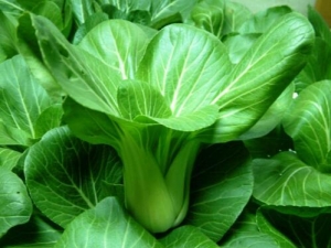 �Ͳ˵�Ӫ����ֵ ��Щ�˲��˳��Ͳ�