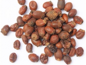 ��֦�˵Ĺ�Ч������ ��֦������ʹ����