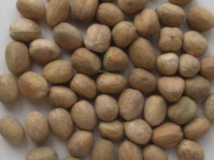 �Ͷ��⴦�� �Ͷ��⹦Ч �Ͷ����������