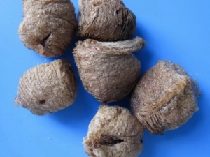 ɣ��ٵĹ�Ч������ ɣ�����ô��