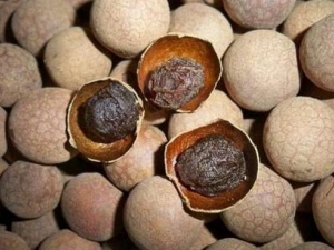 ���۸ɵ�Ӫ����ֵ ���۸���ˮ�ȵĺô�