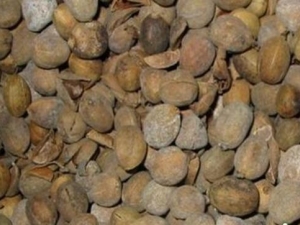 �Ͷ��̴��� �Ͷ��̹�Ч �Ͷ��̸�������