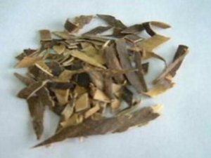 ��Ƥ�Ĺ�Ч������ ��Ƥ��ˮ��ʹ�粡��