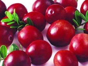 ԽݮӪֵ Խݮĺô Խݮʳ÷