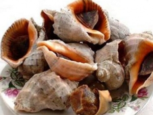 ���ݵ�Ӫ����ֵ ���ݵ�ʳ�÷���