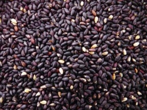 ������ë����ô�� ������Щ����ƫ��