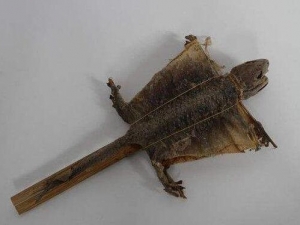 ����Ӫ����ֵ ����ʳ�÷���