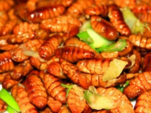 ��Ӽ��Ӫ����ֵ �Բ�Ӽ��ע������