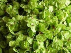 ��Ǯ�Ĺ�Ч������ ��Ǯ��ô���ó�