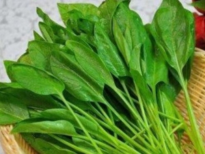 ���˳�ʲô�ܹ��������� �ܲ�ǰ��ʲô��������