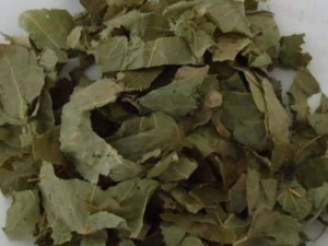 ����Ƣ�Ĺ�Ч������ ����Ƣ����������