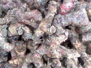 �������Ĺ�Ч������ ��������ҩ�ü�ֵ