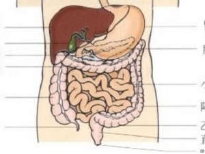 θʮ��ָ������֢״ θʮ��ָ�������ʲô��