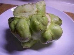 ե�˵�Ӫ����ֵ ե�˵�ʳ�÷���