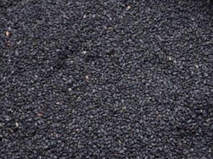 ���Է���ǿ��ô�� ��ο����� �������ʲô��