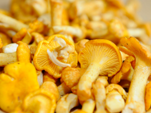 ���;�_���;��Ĺ�Ч|�÷�����