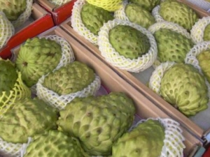 �����ȹ��ĺô� ���ȹ���ô���� ���ȹ���ô��