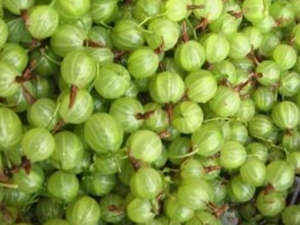 ��������ҽѧ��ֵ ��������ô��