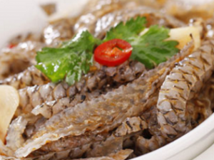 ����Ƥ_����Ƥ�Ĺ�Ч|��������