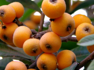 ������_�����˵Ĺ�Ч|�÷�����