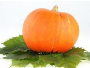 ��Ϻ�_��Ϻ˵Ĺ�Ч|�÷�����