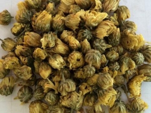 ̥յӪֵ ̥Ϊʲôе˲ܺ