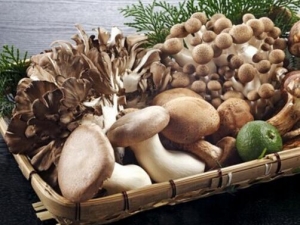 Щϰ߻ᵼڷʧ ڷʧʲô