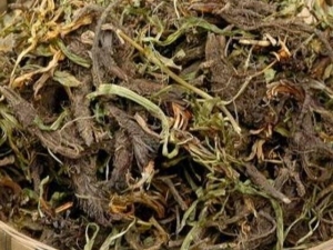 ���ɵĹ�Ч������ ���ɵ��ٴ�Ӧ��