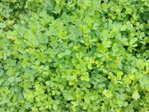 �𻨲�_�𻨲˵Ĺ�Ч|�÷�����