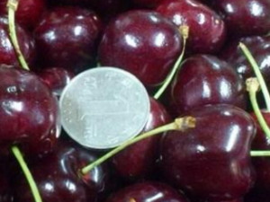 ��������ζ���ӵ���� ��������ζ���ӵĹ�Ч