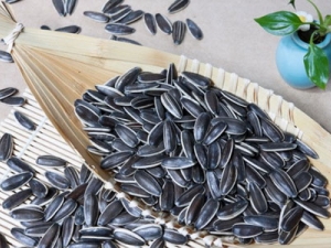 ����ྐྵ��ӿ���������