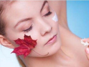 ���ϳ�������ô�� ���׼�����ʲô��