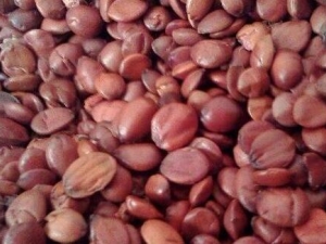 �����ʵĹ�Ч������ ����������ʧ����