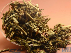 ��ͷ��_��ͷ�ݵĹ�Ч|�÷�����