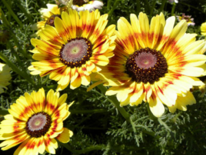 ��ӧ��_��ӧ�յĹ�Ч|��������