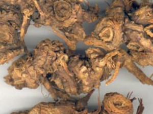 ����Ƭ����Щ��Ч ����Ƭ���Խ�Ѫ֬��