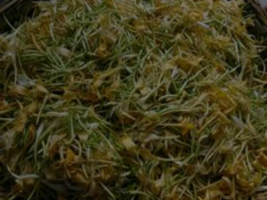 ���ڿڳ���ԭ�� ����������ȥ�����ڿڳ���