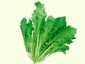 ѩ��ޮ��Ӫ����ֵ ѩ��ޮ��ʳ�÷���