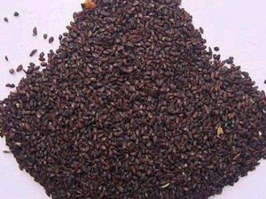 ����ɢ��ľ�������� ����ɢ��ľ������Ч ����ɢ��ľ������������