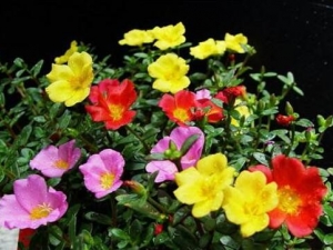 ��ʱ���Ĺ�Ч������  �и�Ϊʲô���ܷ�����ʱ��