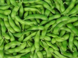 ë����Ӫ����ֵ ë����ʳ�÷���