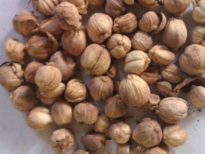 �����账�� �����蹦Ч �������������