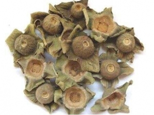 ���ٵĹ�Ч������ �������ܳ�������