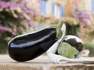 ���ӿ�����ֹʹ��Ѫѹ�� ���ӵ�Ӫ����ֵ