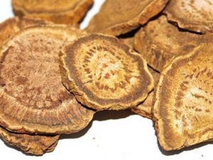 ���������������� ��������������Ч ��������������������