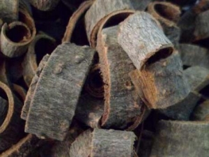 ���������� ��������Ч ��������������