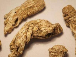 ����������� ���������Ч ���������������