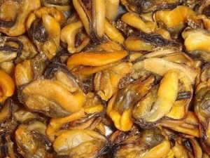 ���˸ɵ�Ӫ����ֵ ���˸ɵ�ʳ�÷���