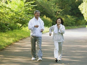 ������ζ������� ������������ʳԭ��